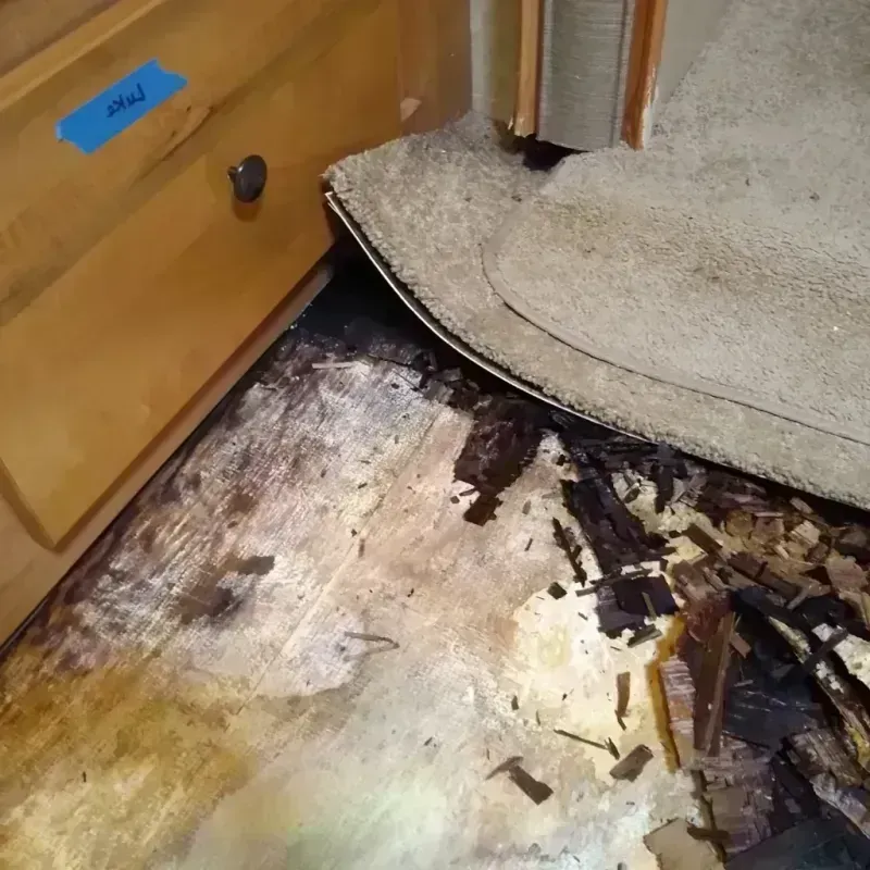 Wood Floor Water Damage in District Heights, MD